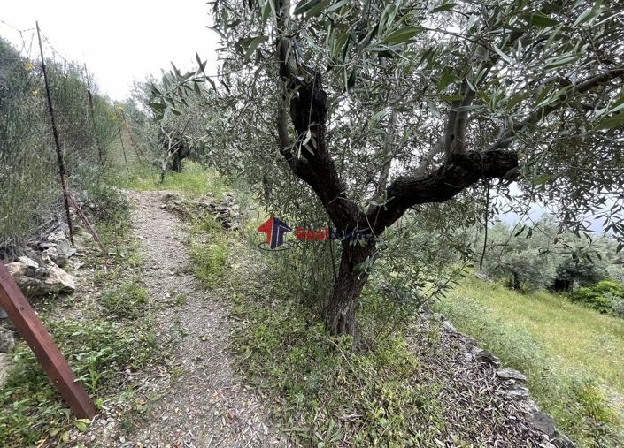 Image No.20-Property for sale