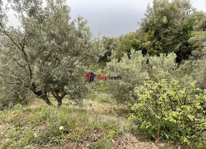 Image No.21-Property for sale