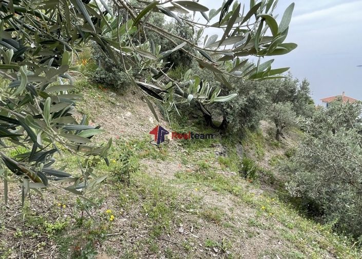 Image No.22-Property for sale