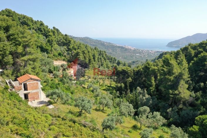 Image No.21-1 Bed Property for sale