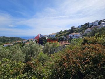 img3ea77a5c-f122-4dd6-99fe-5d05c8a105a0