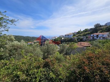 img8f603c52-d38e-476c-9ce9-ce33462cb1ca