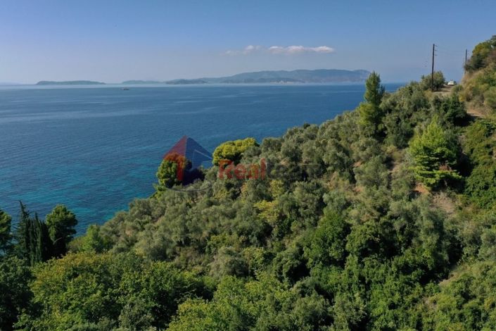 Image No.12-Property for sale