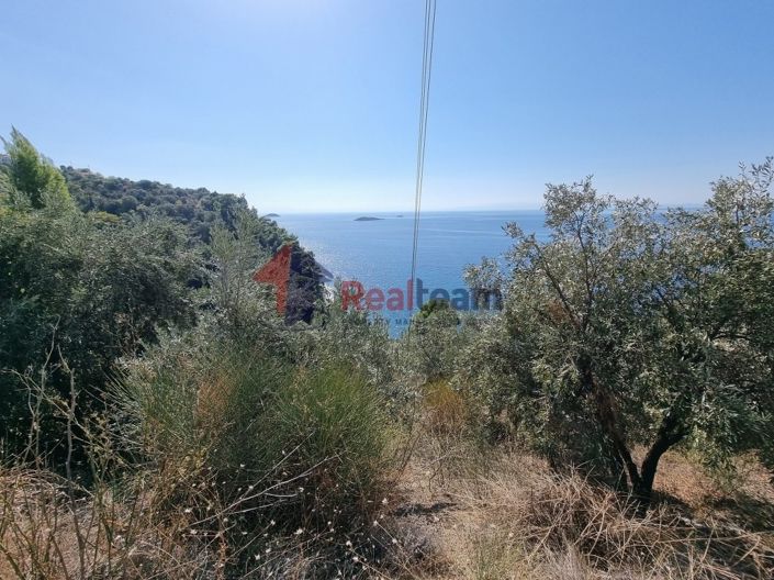 Image No.3-Property for sale