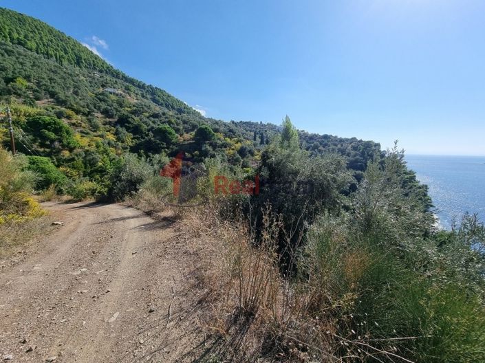 Image No.5-Property for sale