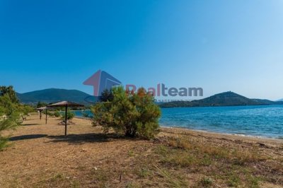 imge31b1b70-4e7b-4c6d-a966-024a7b33f5c9