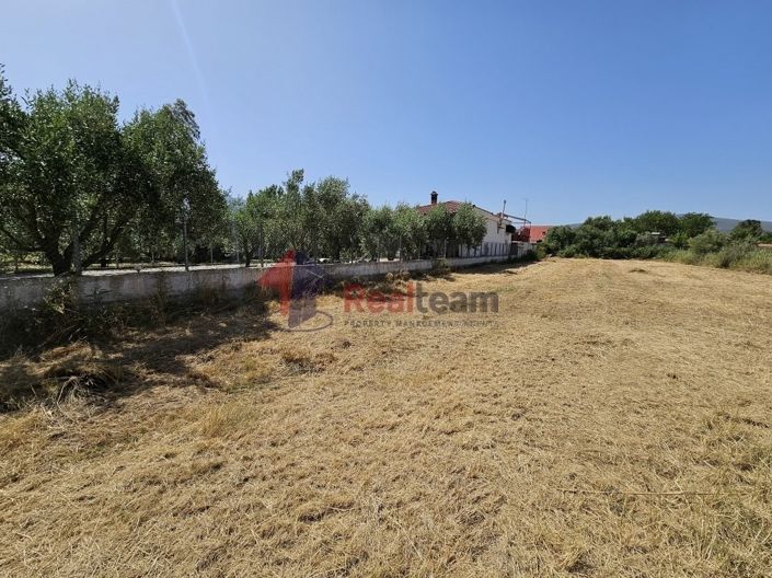 Image No.8-Property for sale