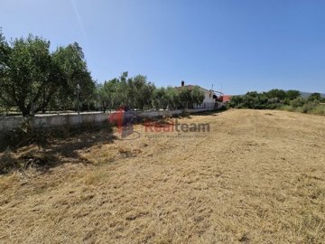 img41ffb2d4-4582-4c5a-8670-2b1bbbf81eae