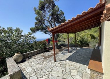 imgae996e62-fb4e-4bce-a9ac-9a6963e2ca9d