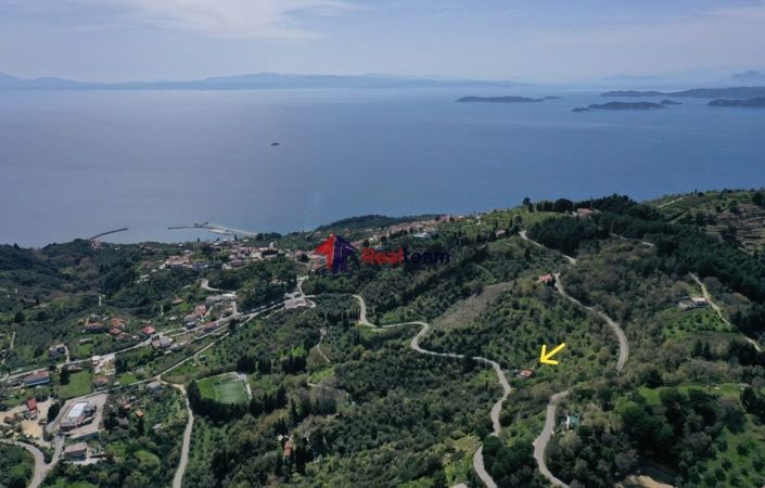 Image No.2-Property for sale