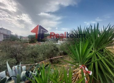 imge955f574-d95b-4974-bde7-a4943368b094