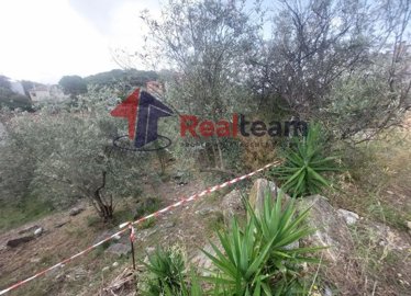 imga8def1d9-346f-47fc-aba7-b6b1650f9645