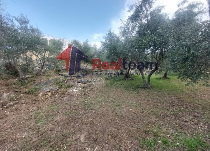 Image No.23-Property for sale