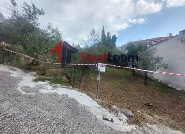 img2ff8b0b0-12db-4491-a366-2a59ef7075c0