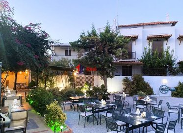 img4672c111-c1b7-49fa-8510-ee473155f789