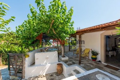 imgd2ad7f66-dca7-4ca0-8ca7-82bb3e501ee2