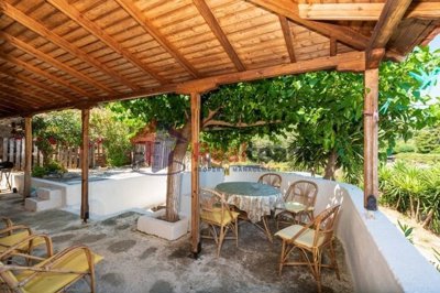 imgaceee707-4113-45eb-909e-6bb67baa18a5