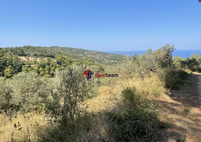 Image No.10-Property for sale