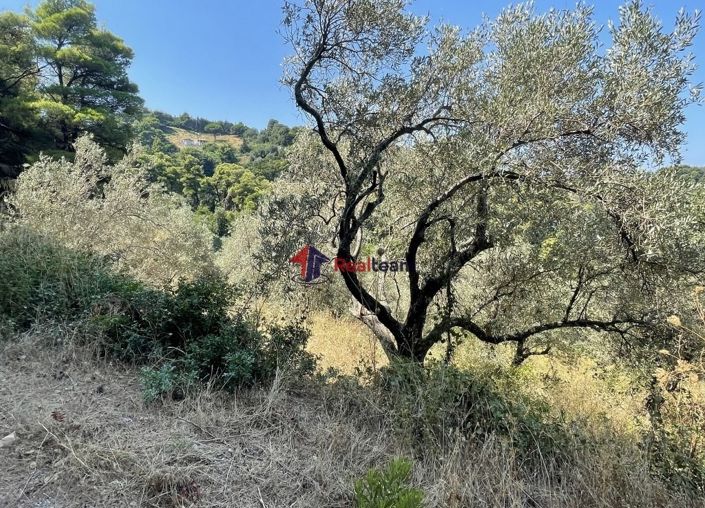 Image No.11-Property for sale