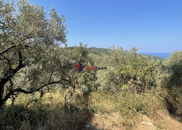 Image No.12-Property for sale