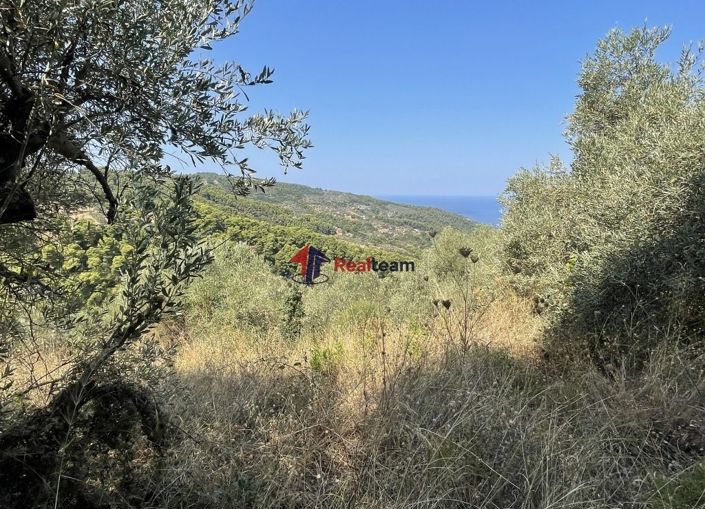 Image No.13-Property for sale