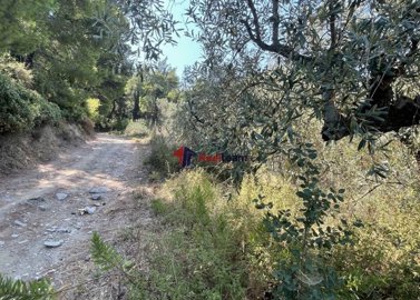 imgab0a8745-f4d5-4896-8a3c-174c870f0ecc