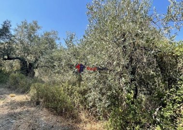 img54e0d9cf-a646-4c69-8a2e-8a4a2d5d6229