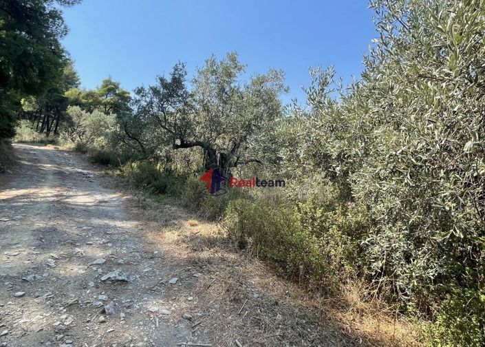 Image No.16-Property for sale