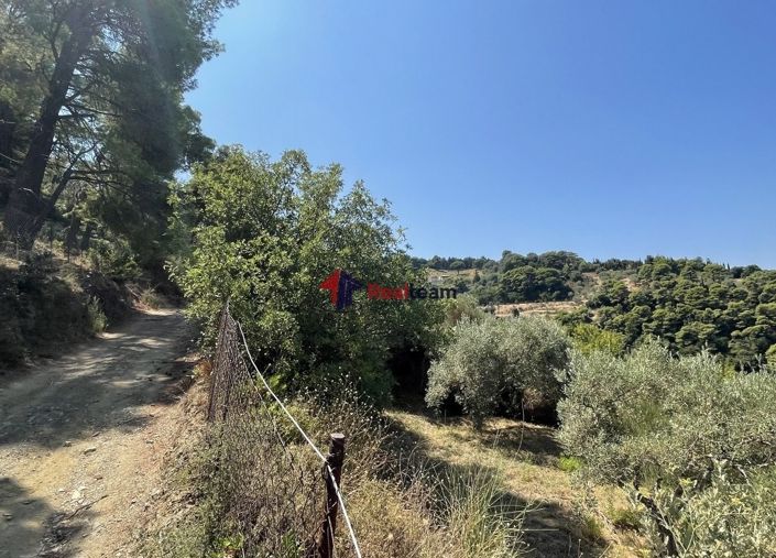 Image No.17-Property for sale