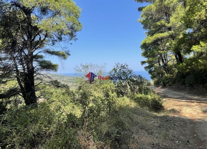 Image No.2-Property for sale