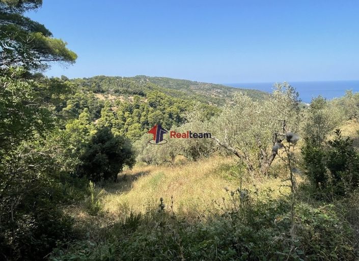 Image No.3-Property for sale