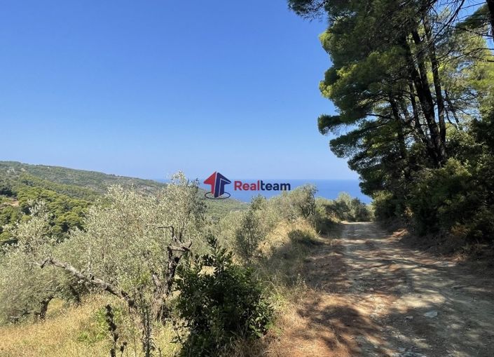 Image No.4-Property for sale