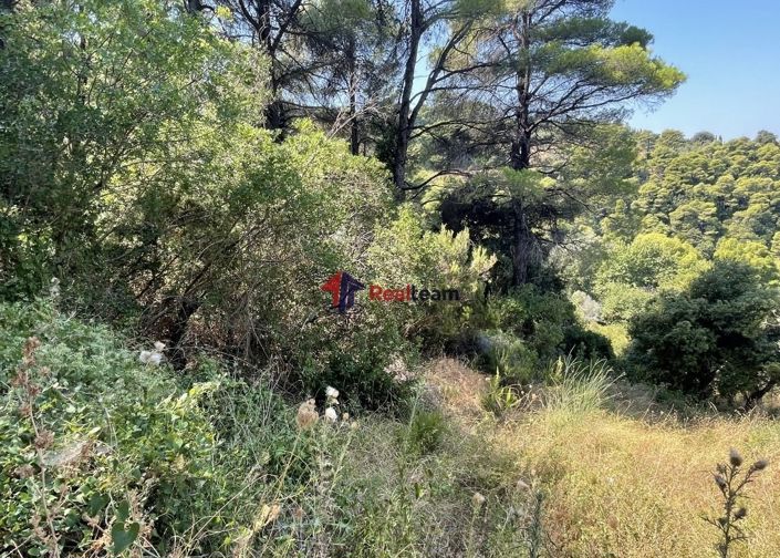 Image No.5-Property for sale