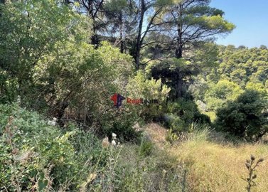 imgc0a6c314-255f-4696-a02e-c32492dde116