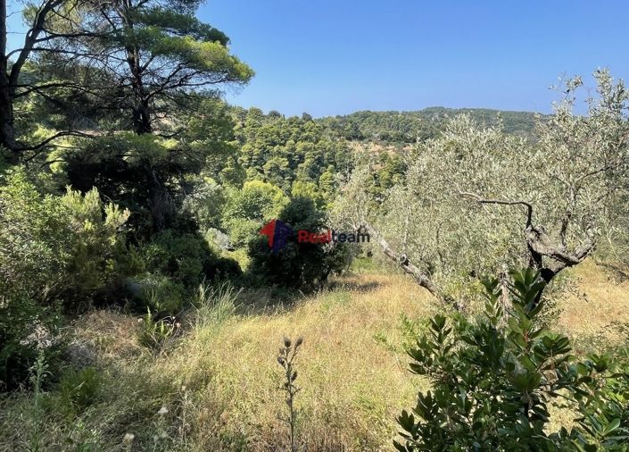 Image No.6-Property for sale