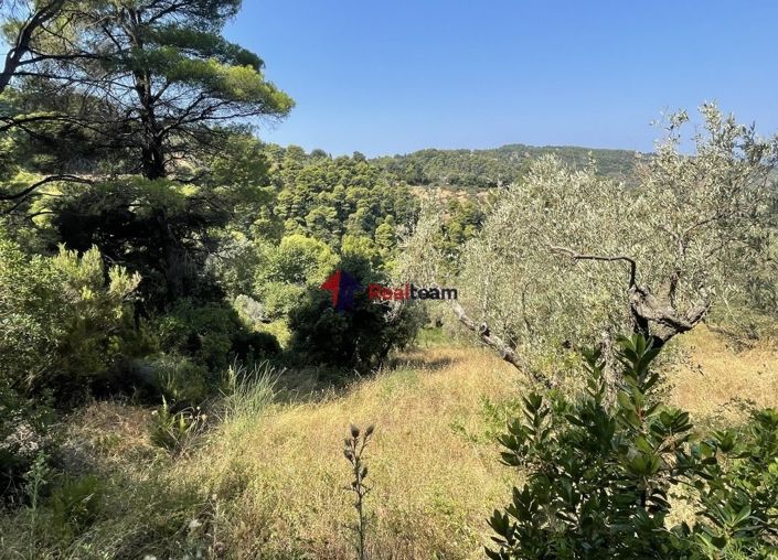 Image No.7-Property for sale