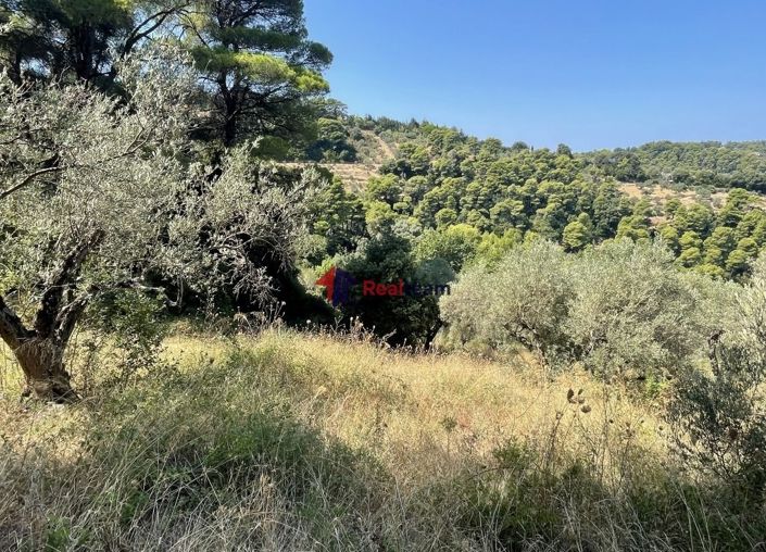 Image No.8-Property for sale