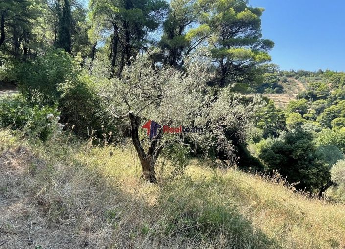 Image No.9-Property for sale