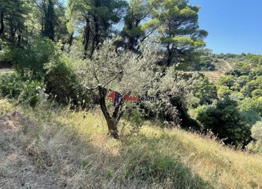 imgbfb66662-51fa-4847-9611-486ad0996a17