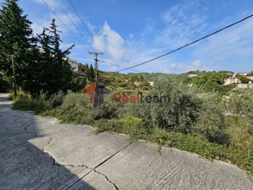 imgdb3ee29a-36e4-493f-9f6d-4f34f8ce257f