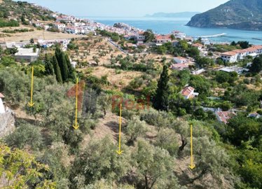 10e9bd697b6a4b95ba80858cb198cd23