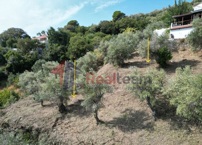 Image No.16-Property for sale