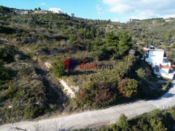 imgb2fe5081-753f-4806-b904-3dfa3f94aabb