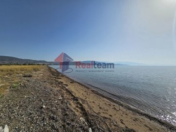 img1f14f481-0462-49f4-9df7-6241cfb7c0e2