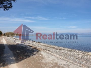 img0a5caad3-628c-4395-b717-79c27f1ecede