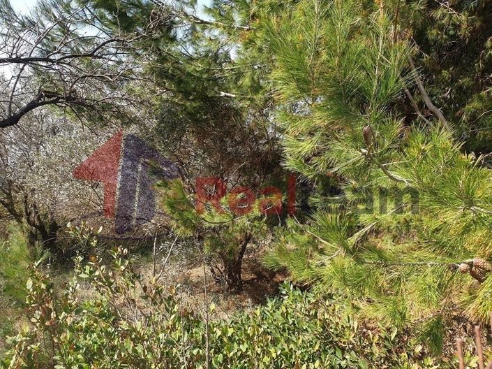 Image No.15-Property for sale