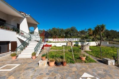 img424cb405-130c-4dc6-b8af-a9be398ec399