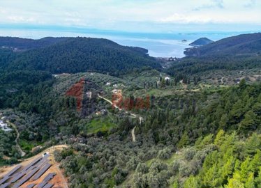 1 - Skopelos, Property