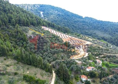 img1e44dbcb-dd9e-4c91-bcf3-16ac980b789a