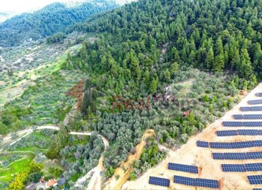 img240fd068-1496-4df9-a098-caae3223b4b8